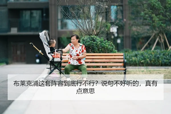 bu-lai-ke-pu-zhe-tao-zhen-rong-dao-di-xing-bu-xing-shuo-ju-bu-hao-ting-de-zhen-you-dian-yi-si-2-995.jpg