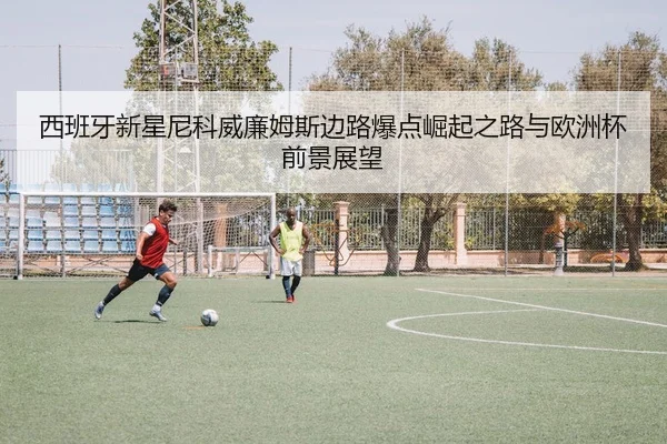 西班牙新星尼科威廉姆斯边路爆点崛起之路与欧洲杯前景展望