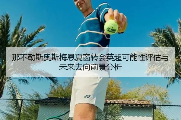 那不勒斯奥斯梅恩夏窗转会英超可能性评估与未来去向前景分析